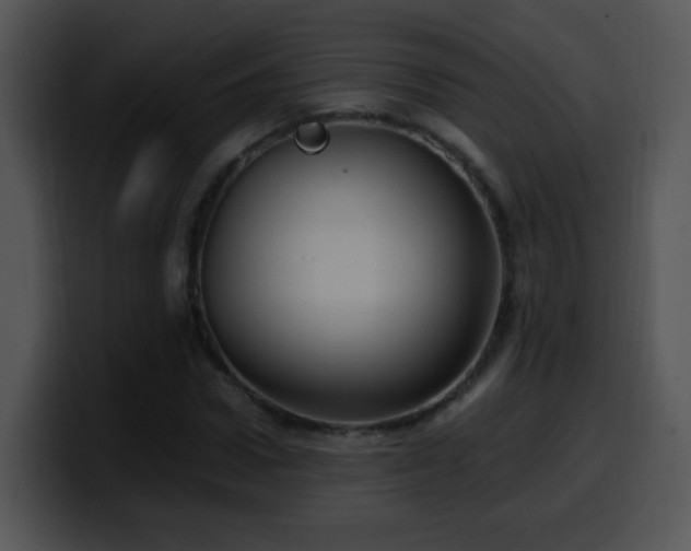 X0000100400922200806061313