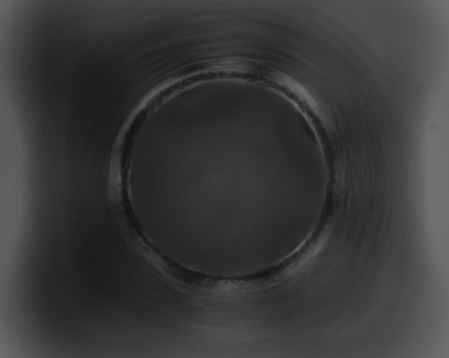 X0000100400923200806061313