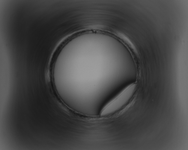 X0000100400924200806061313