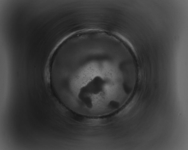 X0000100400925200806061313