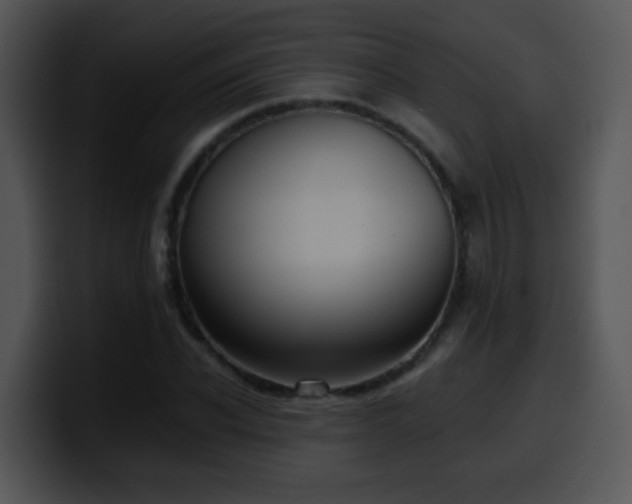 X0000100400926200806061313