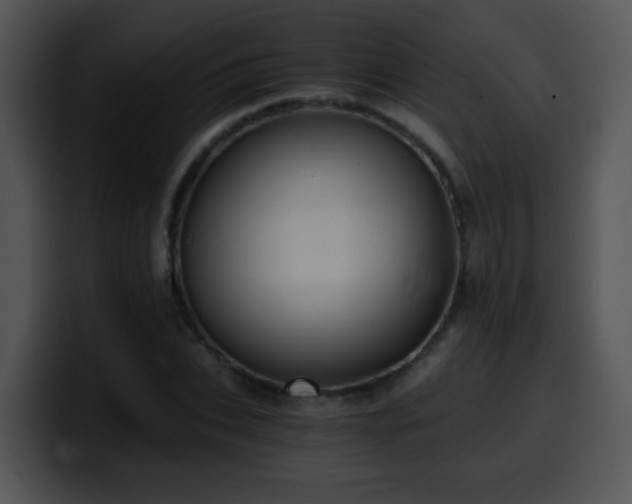 X0000100400927200806061313