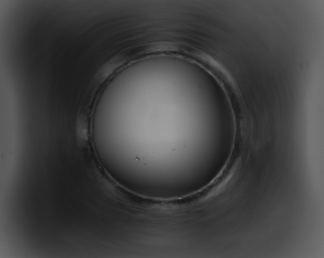 X0000100400929200806061313
