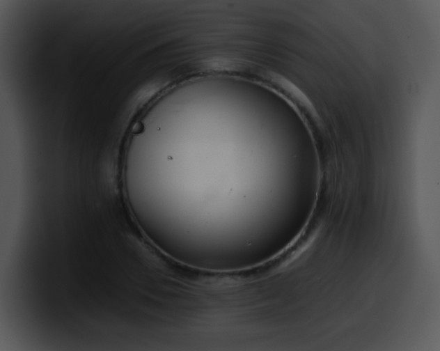X0000100400930200806061313