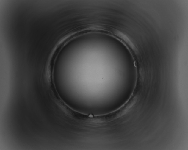 X0000100400931200806061313