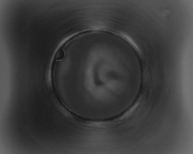 X0000100400932200806061313