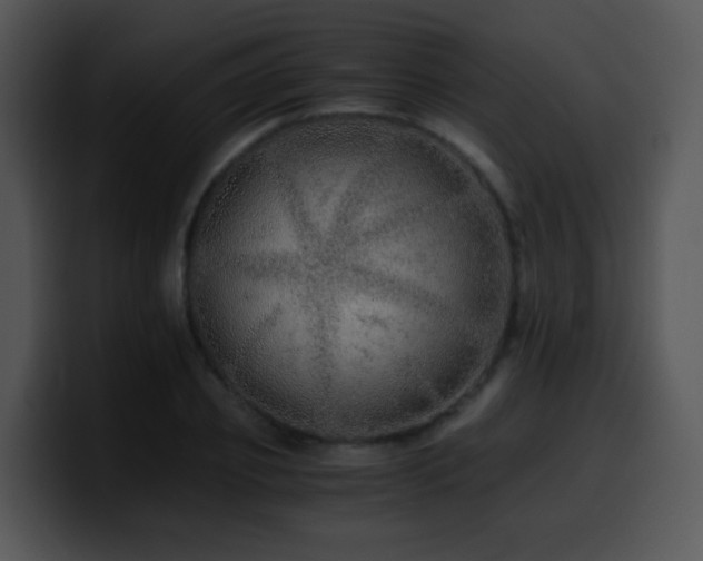 X0000100400933200806061313