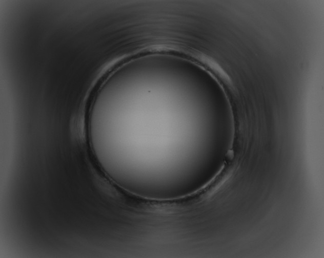 X0000100400934200806061313
