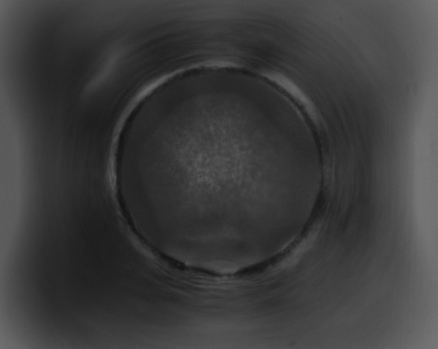 X0000100400935200806061313
