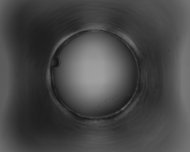 X0000100400936200806061313