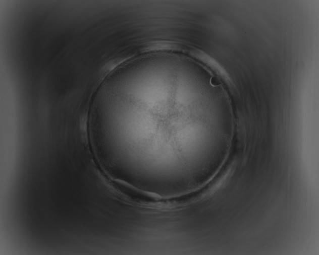 X0000100400937200806061313