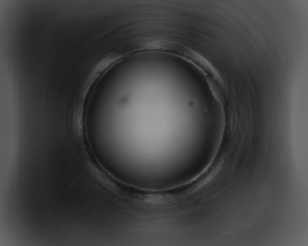 X0000100400938200806061313