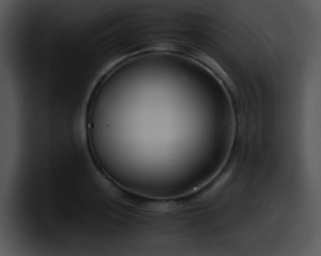 X0000100400939200806061313