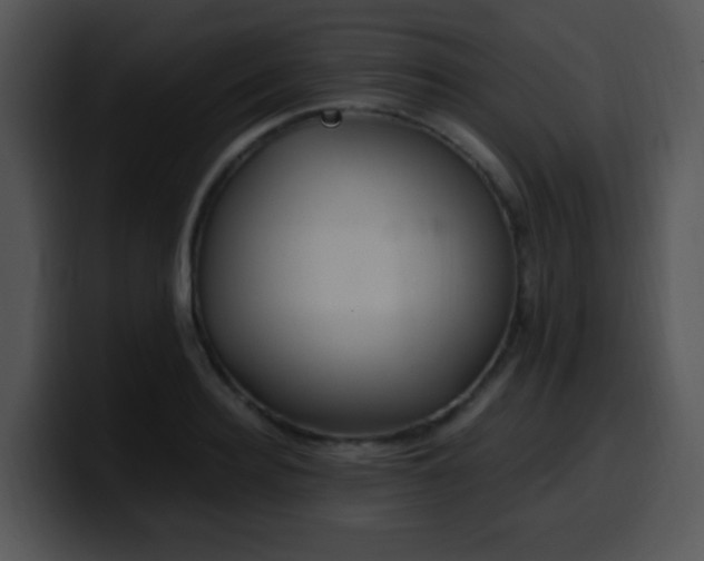 X0000100400940200806061313