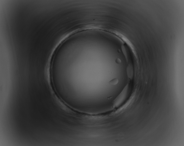 X0000100400941200806061313