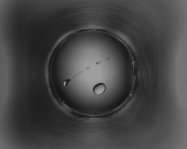 X0000100400942200806061313