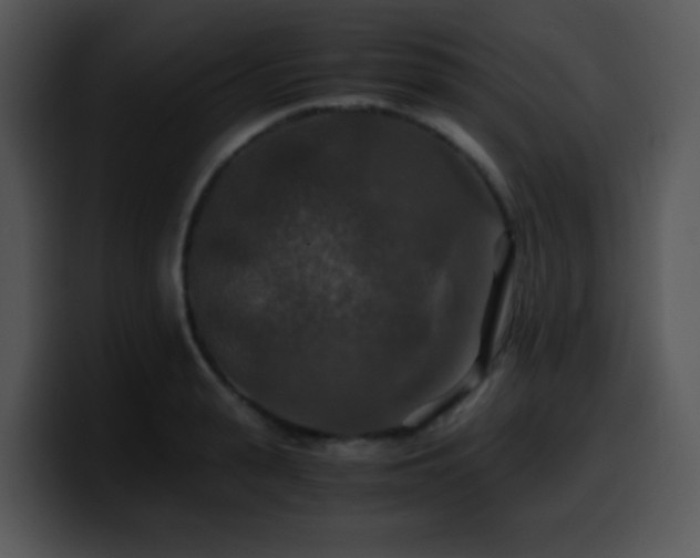 X0000100400943200806061313