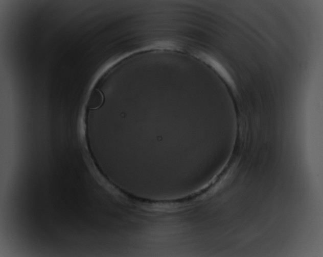 X0000100400944200806061313