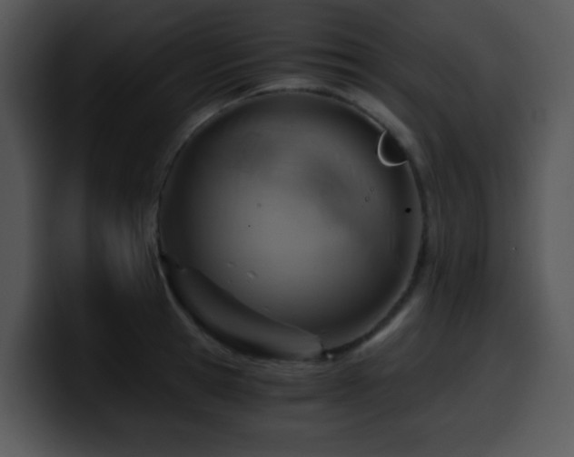 X0000100400945200806061313