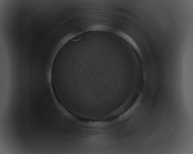 X0000100400946200806061313