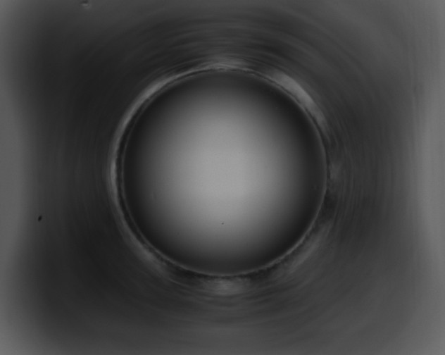 X0000100400947200806061313