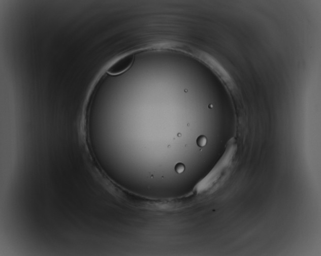 X0000100400948200806061313