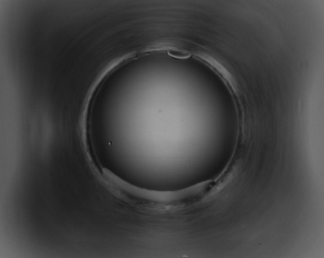 X0000100400949200806061313