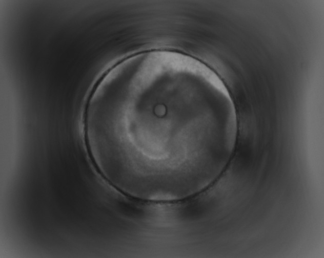 X0000100400950200806061313