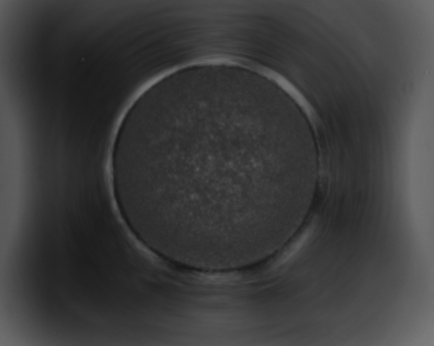 X0000100400951200806061313