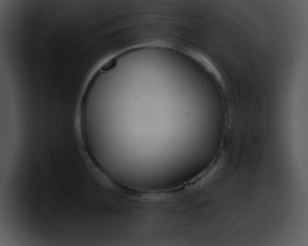 X0000100400952200806061313