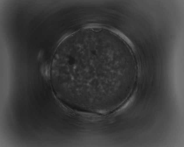 X0000100400953200806061313