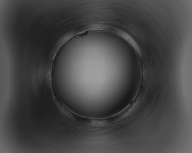 X0000100400954200806061313