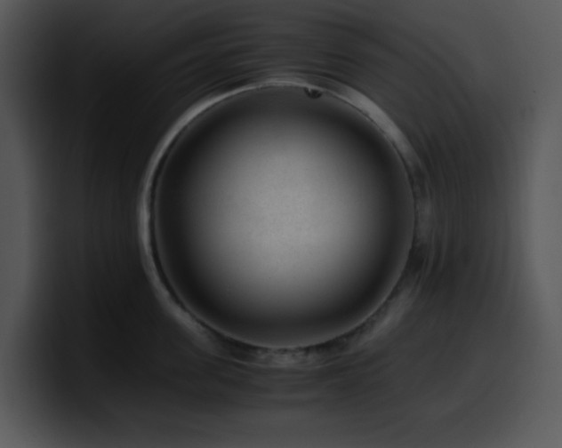 X0000100400955200806061313