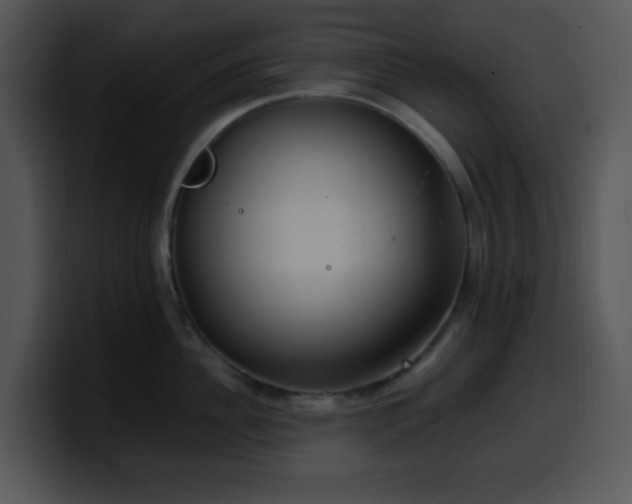 X0000100400956200806061313