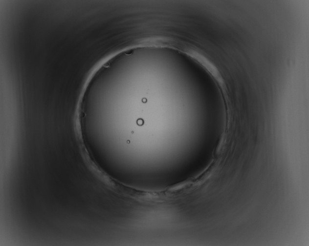X0000100400960200806061313
