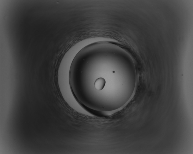 X0000100400961200806061313