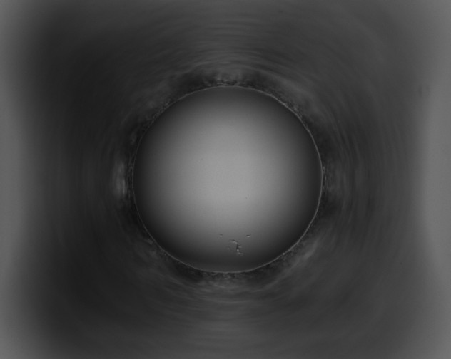 X0000100400962200806061313