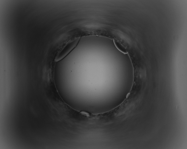 X0000100400965200806061312