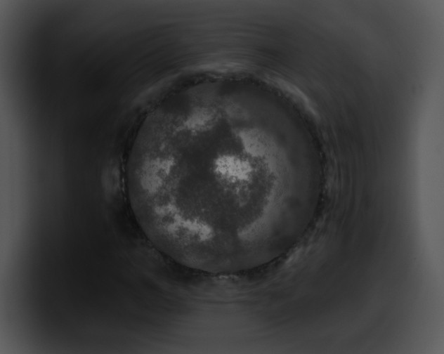 X0000100400966200806061312