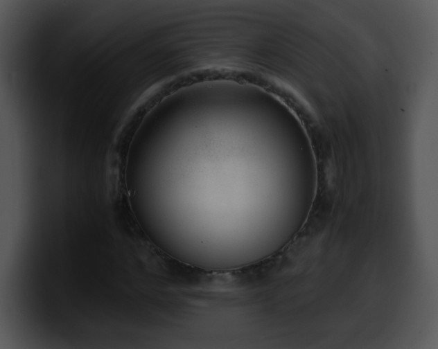 X0000100400968200806061312