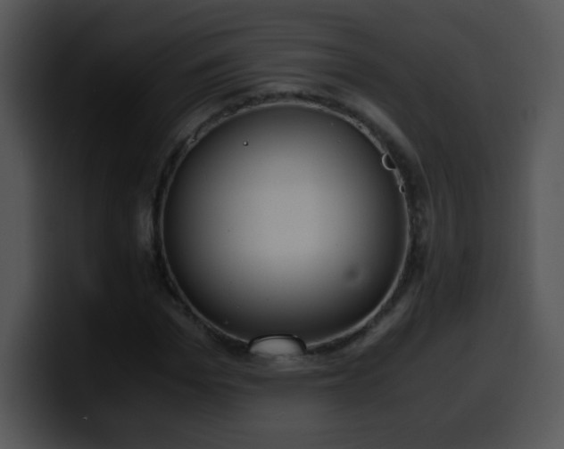 X0000100400969200806061312