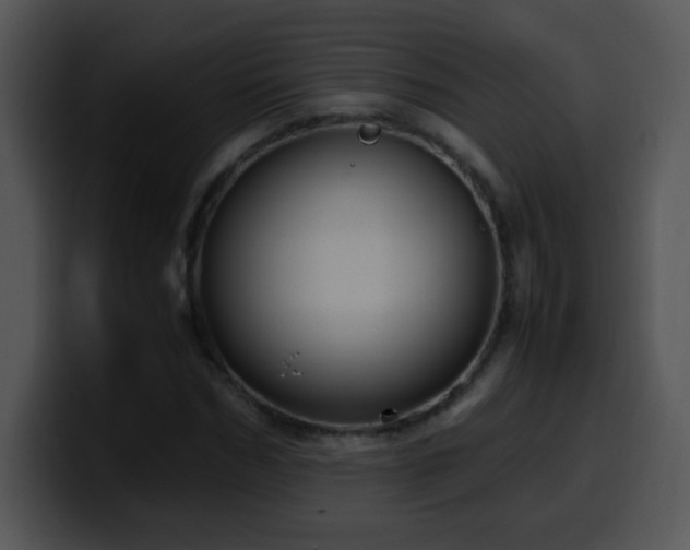 X0000100400970200806061312