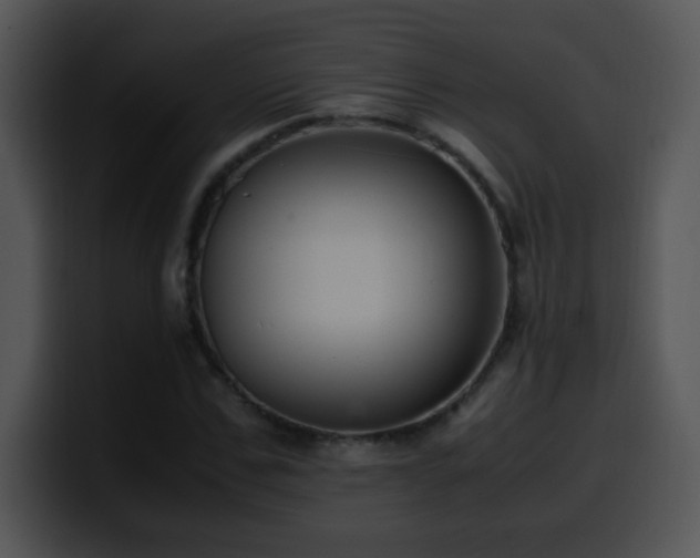 X0000100400971200806061312