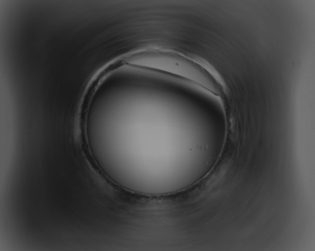 X0000100400972200806061312