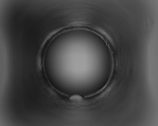 X0000100400973200806061312