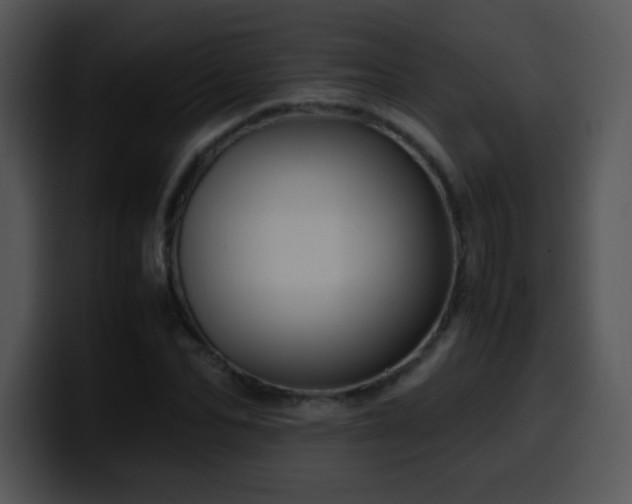 X0000100400974200806061312