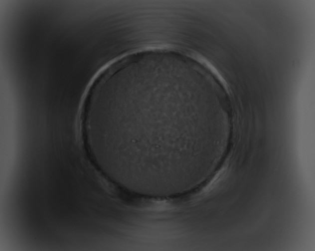 X0000100400975200806061312