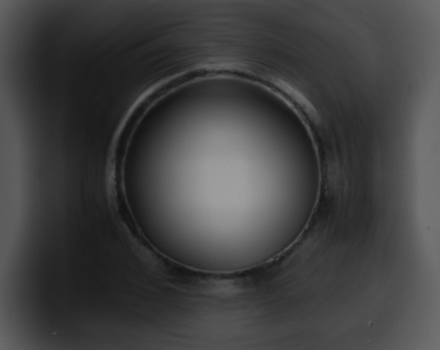 X0000100400976200806061312
