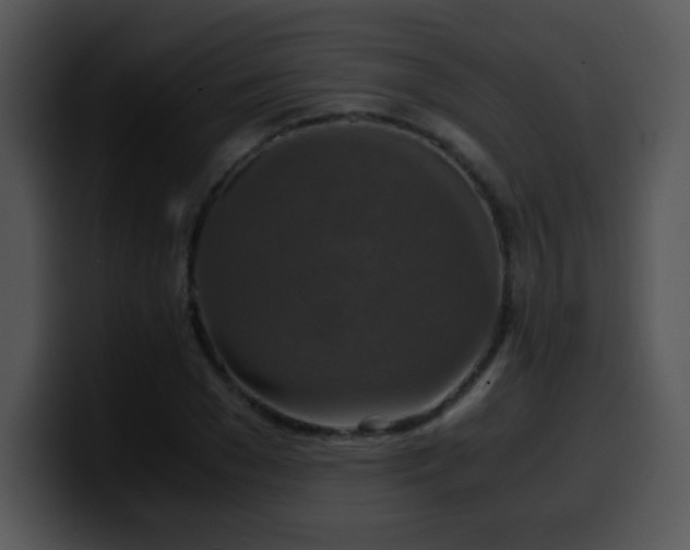 X0000100400977200806061312