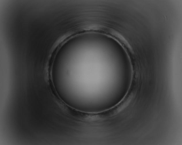 X0000100400978200806061312